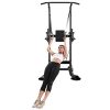Heavy Duty Adjustable Power Tower Strength Training