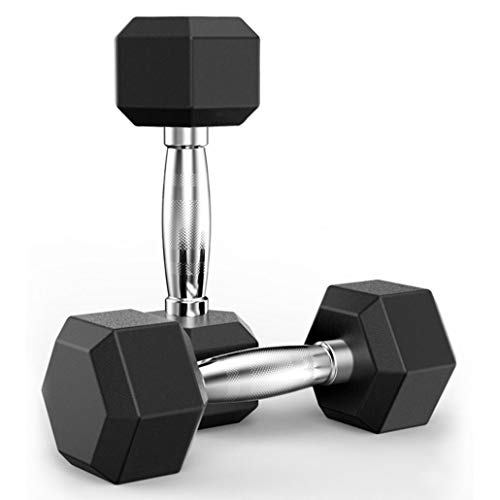 Hex Rubber Dumbbell with Metal Handles