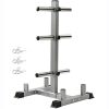 Printasaurus 2In Weight Plate Rack Tree Olympic Weight Organizer
