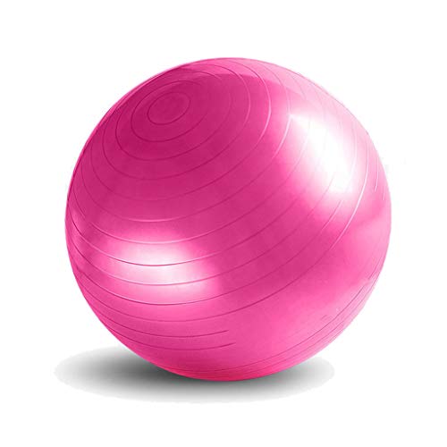 Yoga Ball Anti-Burst and Non-Slip Exercise Ball