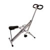 Sunny Health & Fitness Squat Assist Row-N-Ride Trainer