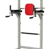 BalanceFrom Power Tower with Push-up