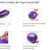 Mini Exercise Barre Ball for Yoga,Pilates,Stability Blance Exercise