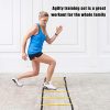 Upper Midland Products Agility Hurdles Ladder Set
