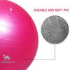 CAMEL CROWN Exercise Ball (Multiple Sizes) Anti-Burst and Slip