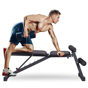 PITHAGE Weight Bench Adjustable Exercise Benches