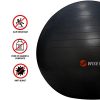 WISEMAX Exercise Ball Chair – Stability Yoga Balance Ball