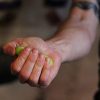 Hand Grip Strengthener Grip Strength Trainer