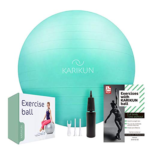 KARIKUN Exercise Ball, 65cm Yoga Ball, Medicine Ball Chair for Fitness