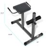 Marcy Adjustable Hyperextension Roman Chair / Exercise