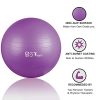 Anti-Burst Heavy Duty Gym Ball Stability