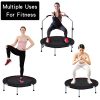 EnterSports 40" Foldable Fitness Trampoline Rebounder