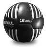 Sanabul Lab Series Exercise and Fitness Medicine Balls