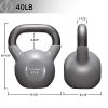Philosophy Gym Vinyl Coated Cast Iron Kettlebell Weight