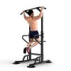 Dland Tower Adjustable Height Pull Up and Dip Station