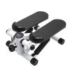 Logo Fitness Twist Stepper Step Machine