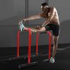 Charella Power Tower Dip Station Pull Up Bar for Home Gym
