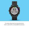 Runs with the Garmin Forerunner 245 Music – GPS Smartwatch with Music