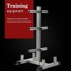 Printasaurus 2In Weight Plate Rack Tree Olympic Weight Organizer