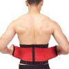Adjustable Waist Lumbar Support, Breathable Back Brace Lower