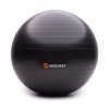 WISEMAX Exercise Ball Chair – Stability Yoga Balance Ball
