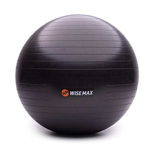 WISEMAX Exercise Ball Chair – Stability Yoga Balance Ball
