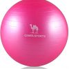 CAMEL CROWN Exercise Ball (Multiple Sizes) Anti-Burst and Slip