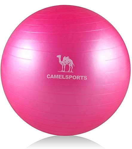 CAMEL CROWN Exercise Ball (Multiple Sizes) Anti-Burst and Slip