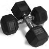 Upgrade Your Strength Training – Titan Fitness 20 LB Hex Dumbbell Pair with Rubber Coating