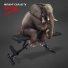 Workouts with the 2020 Version of our Fast-Folding Adjustable Weight Bench