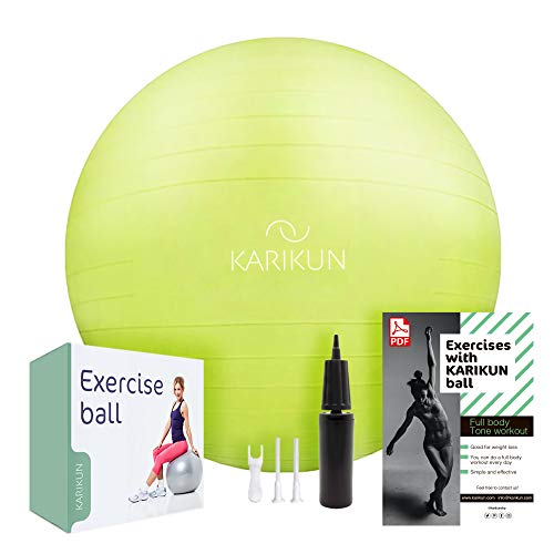 KARIKUN Exercise Ball, 65cm Yoga Ball, Medicine Ball Chair for Fitness