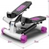 SASAMM Portable Twist Stair Stepper Adjustable Resistance