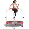 Fitness Rebounder Folding Mini Trampoline