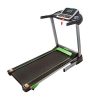 Fitness Avenue Treadmill with Manual Incline and Bluetooth Speakers
