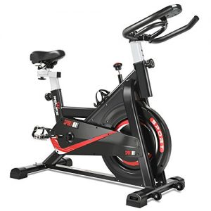 RELIFE REBUILD YOUR LIFE Exercise Bike Indoor Cycling Bike Fitness
