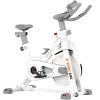pooboo Exercise Bike, Belt Drive Indoor Cycling Bike
