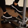 Sunny Health & Fitness Twist Stepper Step Machine with Handle Bar
