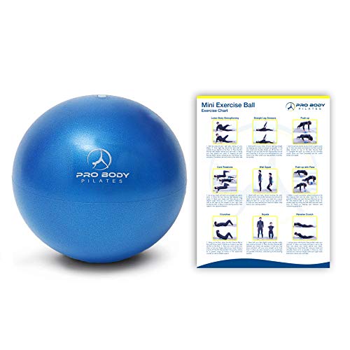 Mini Exercise Ball - 9 Inch Bender Ball for Stability, Barre
