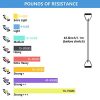 REEHUT Single Resistance Band – Exercise Tube with Handle, Door Anchor & Guide for Strength Training & Physical Therapy