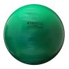 TheraBand Exercise Ball, Stability Ball with 65 cm Diameter for Athletes