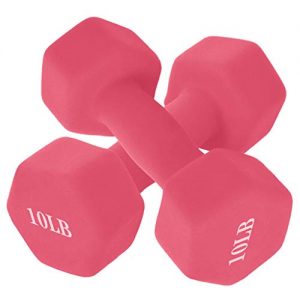 10 lb Dumbbells Hand Weights Set of 2 - Vinyl Coated Exercise
