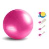 Yoga Ball Anti-Burst and Non-Slip Exercise Ball