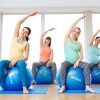 WISEMAX Exercise Ball Chair – Stability Yoga Balance Ball