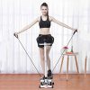 step machine with handles Adjustable Twister Stepper