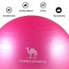 CAMEL CROWN Exercise Ball (Multiple Sizes) Anti-Burst and Slip
