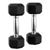 20 Pound Dumbbell Weights Pair Hex Barbell Training Exercise