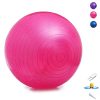 Exercise Ball Yoga Ball Equipment 65cm - Great for Balance, Fitness