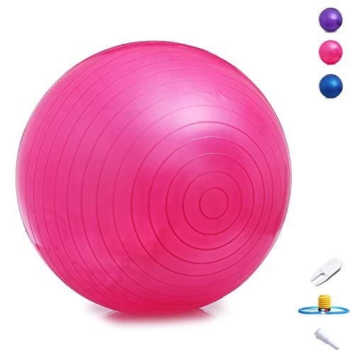 Exercise Ball Yoga Ball Equipment 65cm - Great for Balance, Fitness