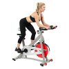 Sunny Health & Fitness Spin Bike Pro Indoor