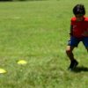 Gym Speed and Agility Training Resistance Bands, Training Kit, Jump Hurdles
